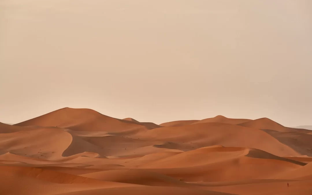 El desierto